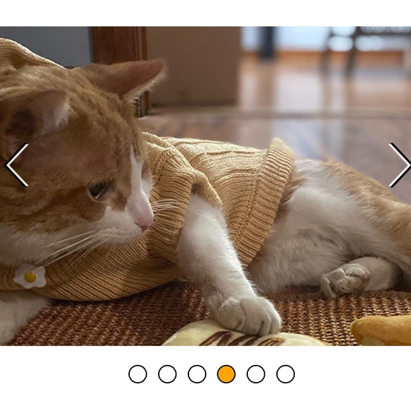 💫 Pupteck Cat Sweater Knitwear - Picture 8 of 11